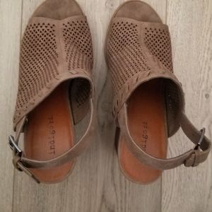 Fall shoes by Indigo Rd